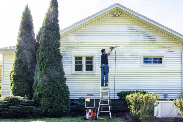Best Graffiti Removal  in Mannington, WV